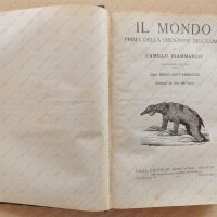 1934 Camillo FLAMMARION Il mondo prima della creazione delluomo  Ed. SONZOGNO